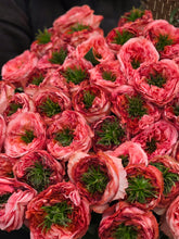 Bijūninė rožė - Mandarin